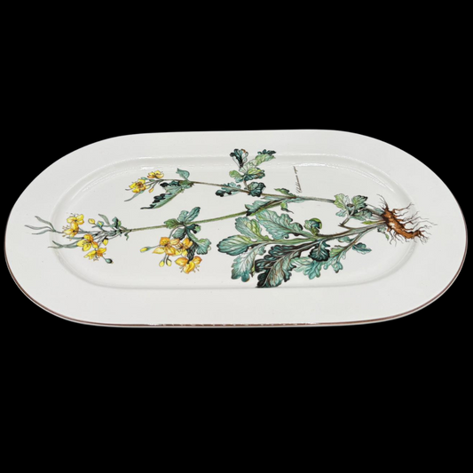Villeroy & Boch Botanica: Fleischplatte / Platte - ca 45 cm (7120828792969)