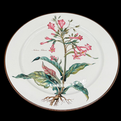 Villeroy & Boch Botanica: Kuchenplatte / Platte / Tortenplatte (7120696836233)