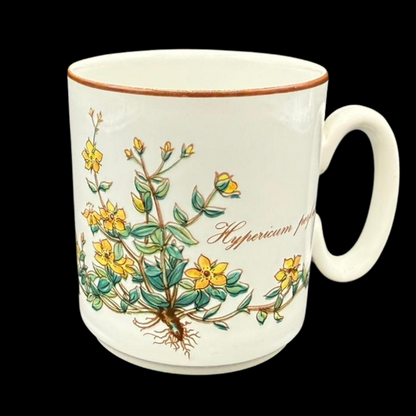 Villeroy & Boch Botanica: Henkelbecher / Kaffeebecher - gelbe Blumen (7120727539849)