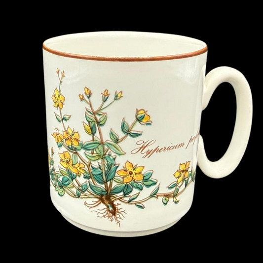 Villeroy & Boch Botanica: Henkelbecher / Kaffeebecher - gelbe Blumen (7120727539849)