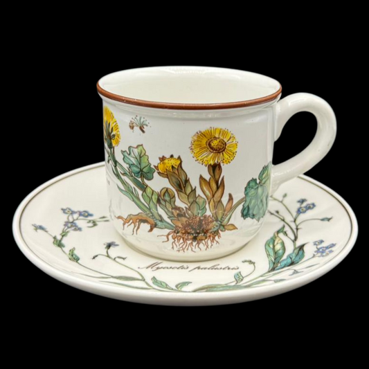Villeroy & Boch Botanica: Kaffeetasse / Tasse mit Unterteller - neuwertig (7120784556169)