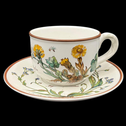Villeroy & Boch Botanica: Teetasse / Tasse mit Unterteller - gebraucht (7120978051209)