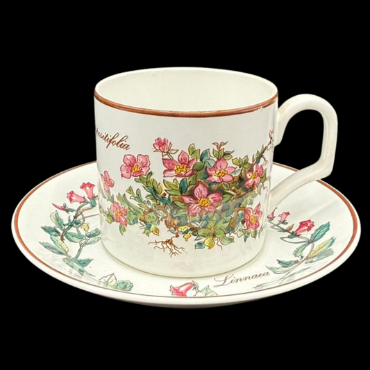Villeroy & Boch Botanica: Kaffeetasse / Tasse mit Unterteller (seltenes Motiv) (9486615118148)
