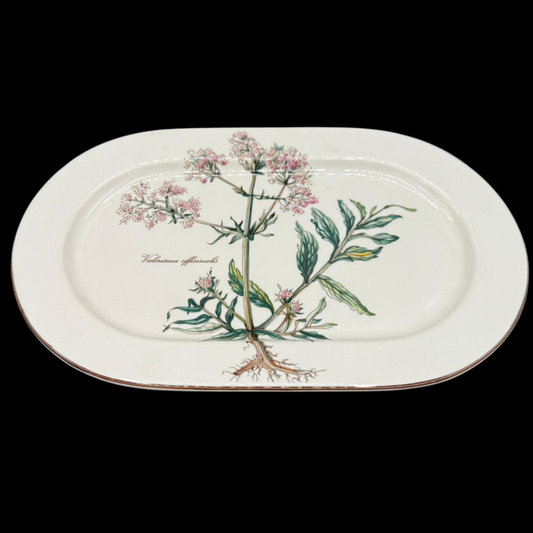 Villeroy & Boch Botanica: Fleischplatte / Platte - 28 cm / Bilde verkehrt (15277242712388)