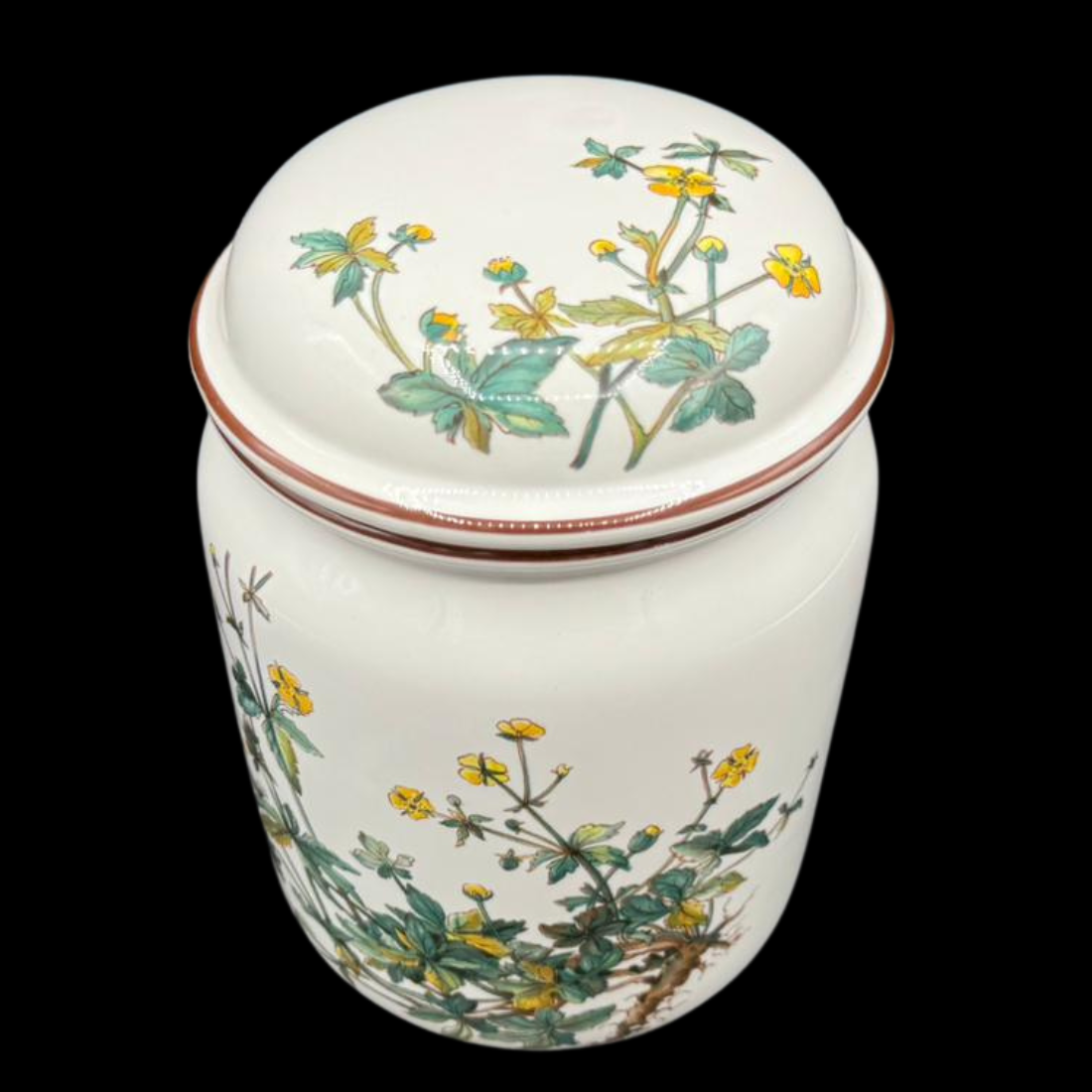 Villeroy & Boch Botanica: Vorratsdose mit Porzellandeckel / Porzellandose (7120748576905)