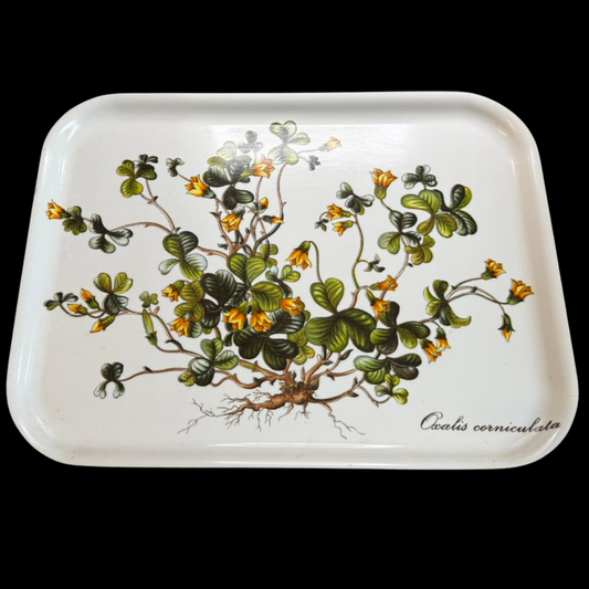 Villeroy & Boch Botanica: Tablett - 35 cm (15277271417156)