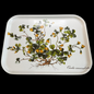 Villeroy & Boch Botanica: Tablett - 35 cm (15277271417156)