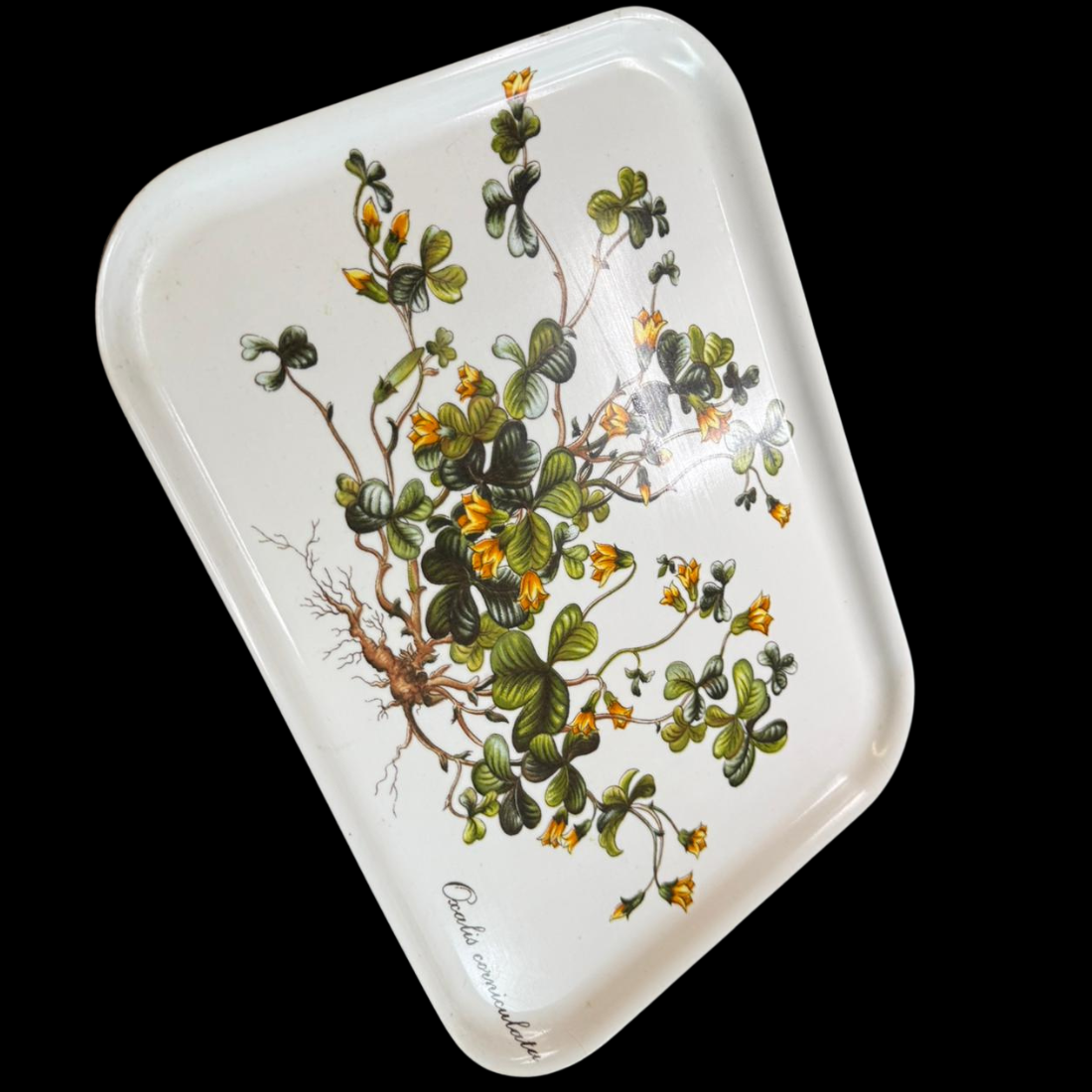 Villeroy & Boch Botanica: Tablett - 35 cm (15277271417156)