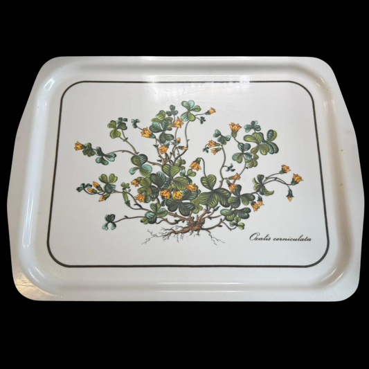 Villeroy & Boch Botanica: Tablett mit Griffe  - 50 cm (15277282099524)