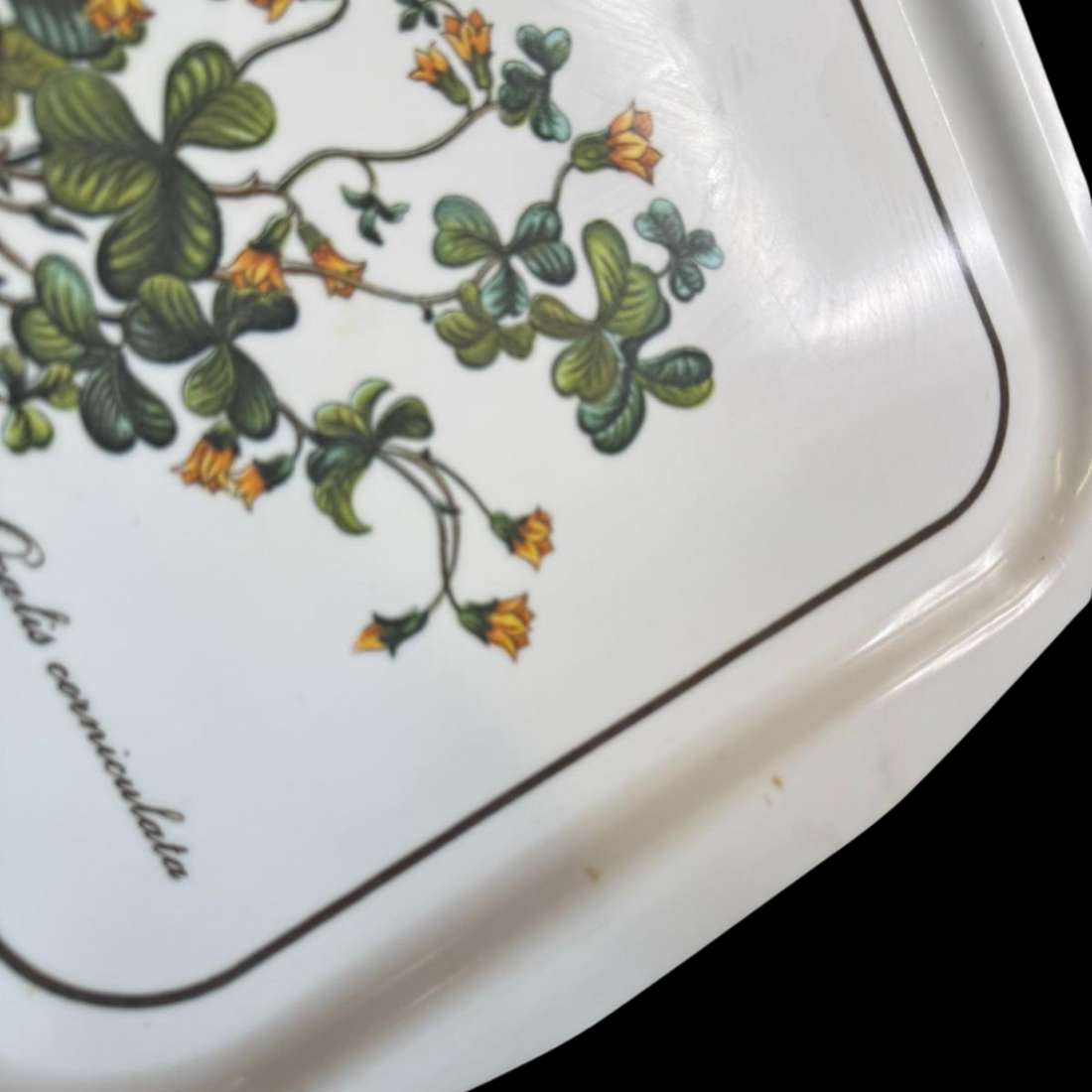 Villeroy & Boch Botanica: Tablett mit Griffe  - 50 cm (15277282099524)