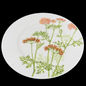 Villeroy & Boch Althea Nova: Kuchenteller / Frühstücksteller - neuwertig (15290357350724)