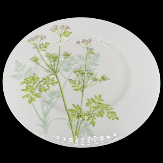 Villeroy & Boch Althea Nova: Speiseteller / flacher Teller - neuw. (14865469243716)