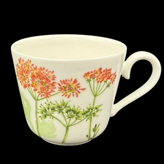 Villeroy & Boch Althea Nova: Kaffeetasse / Tasse (14865477534020)