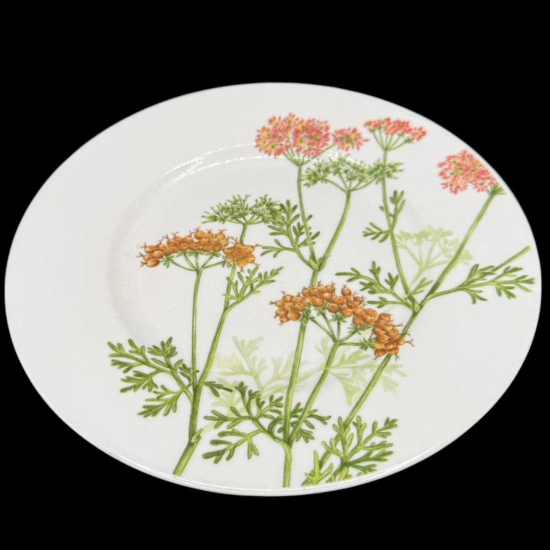 Villeroy & Boch Althea Nova: Kuchenteller / Frühstücksteller - gebr. (15290359447876)