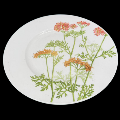 Villeroy & Boch Althea Nova: Kuchenteller / Frühstücksteller - gebr. (15290359447876)