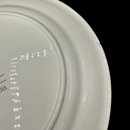 Villeroy & Boch Rusticana rot: Speiseteller / flacher Teller - siehe Beschreibung