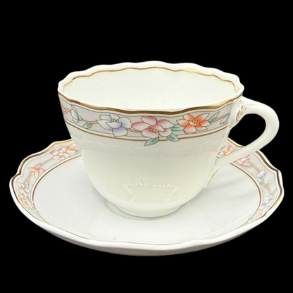 Hutschenreuther Maria Theresia Fürstenau: Kaffeetasse / Tasse mit Unterteller  neu