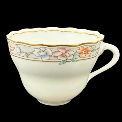 Hutschenreuther Maria Theresia Fürstenau: Kaffeetasse / Tasse - neu