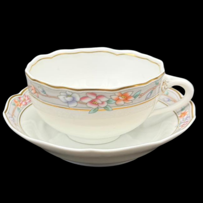Hutschenreuther Maria Theresia Fürstenau: Teetasse / Tasse mit Unterteller - neu