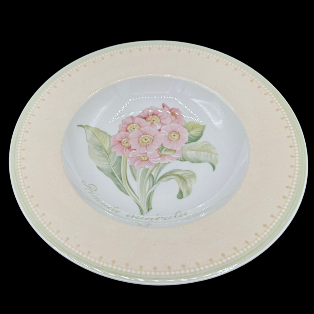 Villeroy & Boch Florea Floris: Suppenteller / tiefer Teller - neu