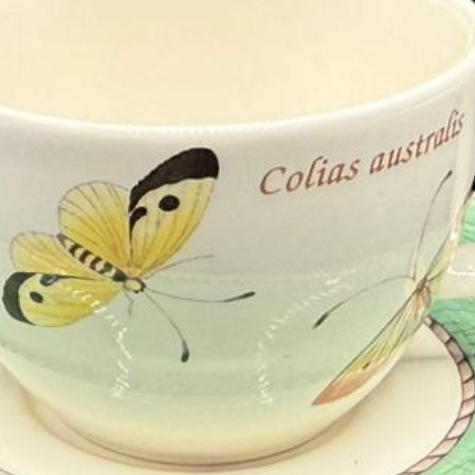 Wedgewood Sarah´s Garden: Mokkatasse / Espressotasse mit Unterteller