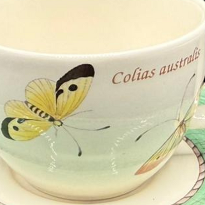 Wedgewood Sarah´s Garden: Mokkatasse / Espressotasse mit Unterteller