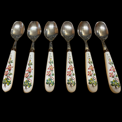 Villeroy & Boch Botanica: 6 Sahnelöffel, original verpackt (Besteck)
