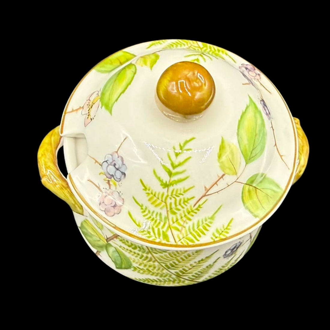 Villeroy & Boch Forsa: Zuckerdose / Marmeladedose / Marmeladetopf mit Griff