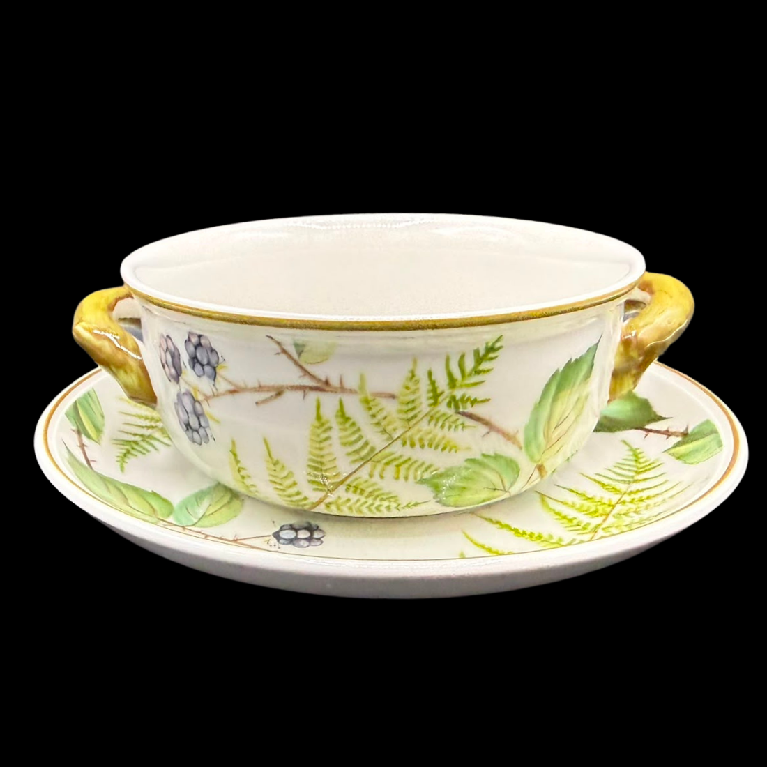 Villeroy & Boch Forsa: Suppentasse mit Unterteller