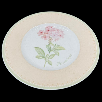 Villeroy & Boch Florea Floris: Kuchenteller / Frühstücksteller / Dessertteller