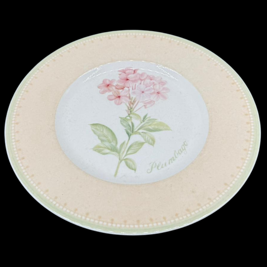 Villeroy & Boch Florea Floris: Kuchenteller / Frühstücksteller / Dessertteller