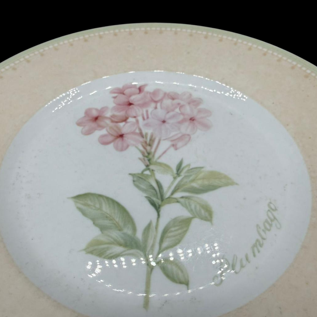 Villeroy & Boch Florea Floris: Kuchenteller / Frühstücksteller / Dessertteller