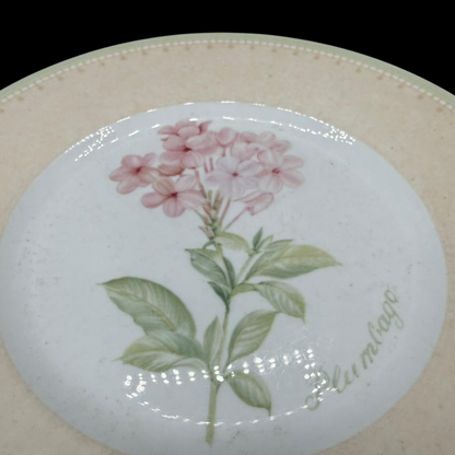 Villeroy & Boch Florea Floris: Kuchenteller / Frühstücksteller / Dessertteller