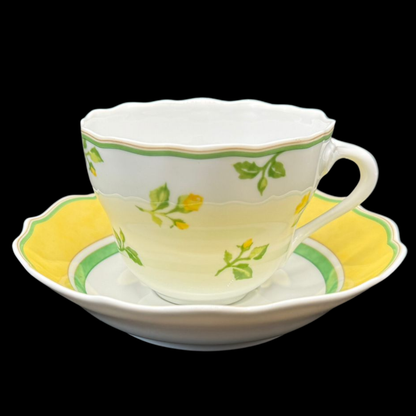 Hutschenreuther Medley Summerdream: Kaffeetasse / Tasse mit Unterteller