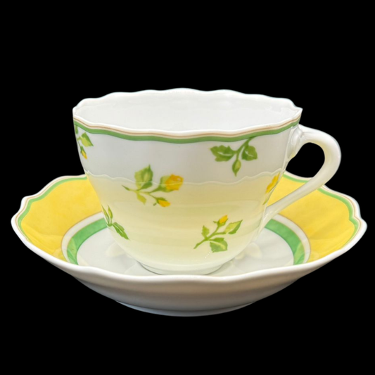 Hutschenreuther Medley Summerdream: Kaffeetasse / Tasse mit Unterteller
