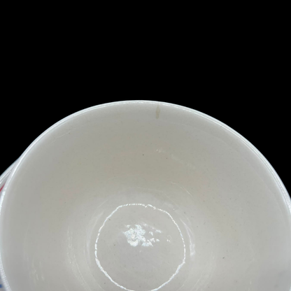 Villeroy & Boch Goslar: Teetasse / Tasse mit Unterteller - siehe Beschreibung