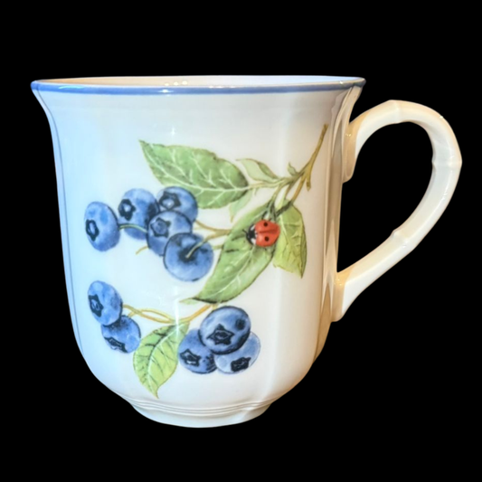 Villeroy & Boch Cottage: Kaffeebecher / Henkelbecher - neu (8513353417028)