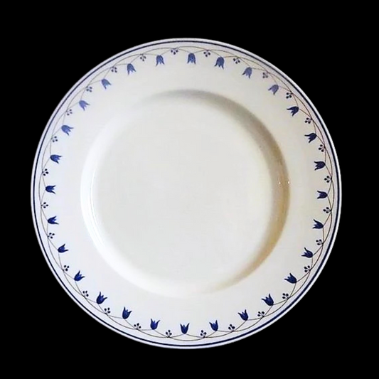 Villeroy & Boch Salzburg: Kuchenteller / Frühstücksteller / Dessertteller (7120701620361)