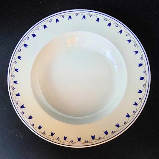 Villeroy & Boch Salzburg: Suppenteller / tiefer Teller (7120701751433)