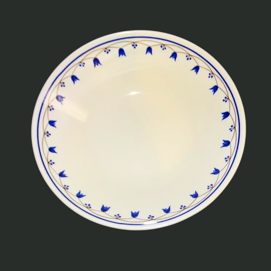 Villeroy & Boch Salzburg: Dessertschale / Dessertschälchen / Schale / Schälchen (7120693690505)