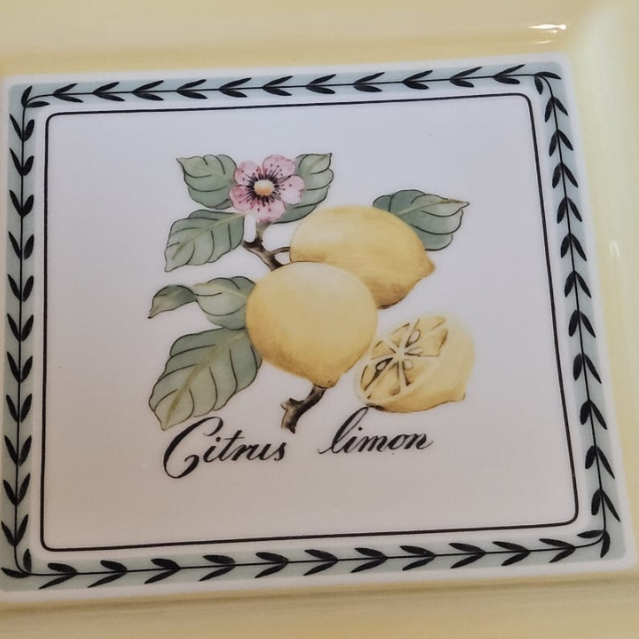 Villeroy & Boch French Garden: Speiseteller / flacher Teller Macon - quadratisch (14878010179908)