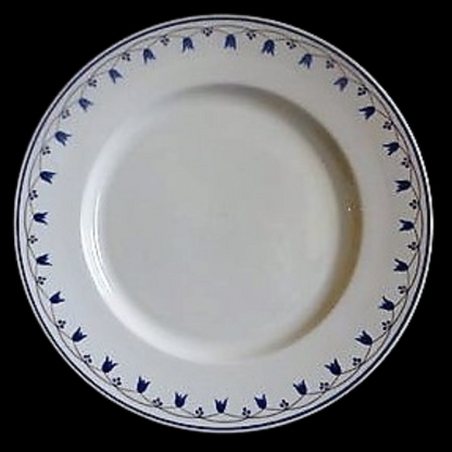 Villeroy & Boch Salzburg: Speiseteller / flacher Teller (7120701653129)