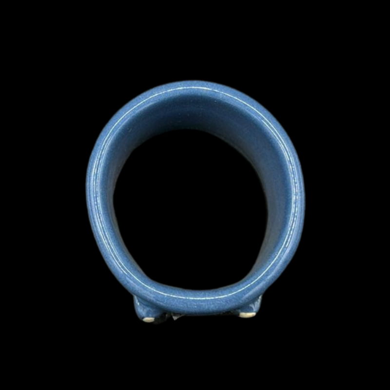 Villeroy & Boch Switch Plus Blau: Serviettenringe - Set mit 6 Stück in OVP (8992402080068)