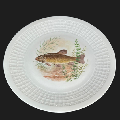 Eschenbach Bavaria Fische:  Speiseteller / flacher Teller (9048168694084)