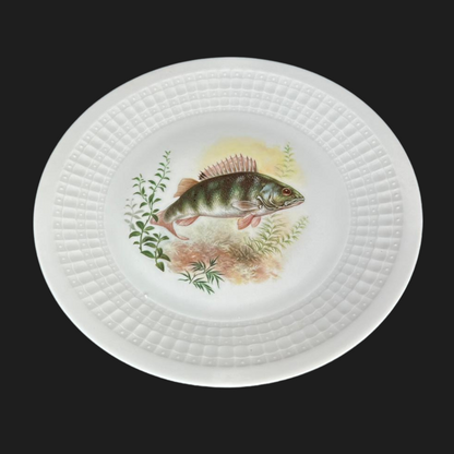 Eschenbach Bavaria Fische:  Speiseteller / flacher Teller (9048168694084)