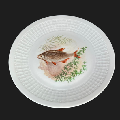 Eschenbach Bavaria Fische:  Speiseteller / flacher Teller (9048168694084)