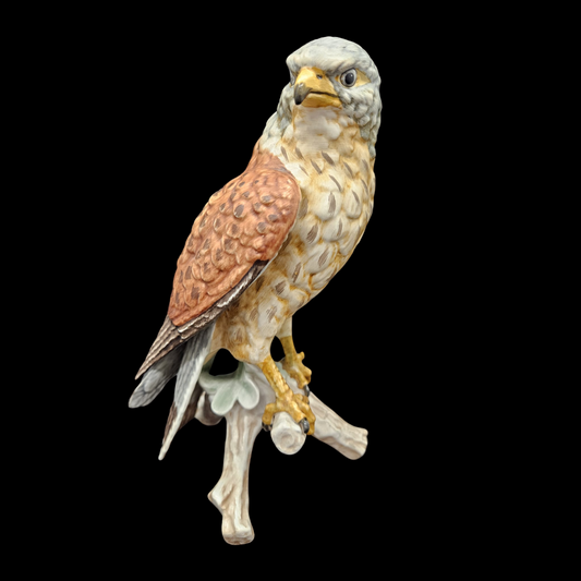Goebel: Kuckuck Vogel des Jahres 2008 (8841710043460)
