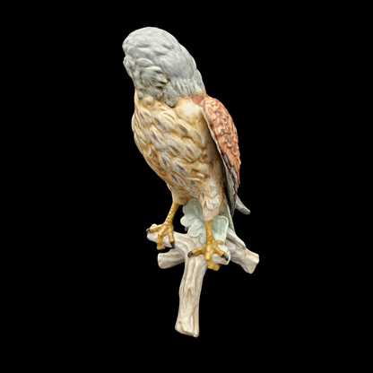 Goebel: Kuckuck Vogel des Jahres 2008 (8841710043460)