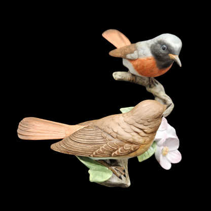 Goebel: Gartenrotschwanz Vogel des Jahres 2011 (8841736126788)