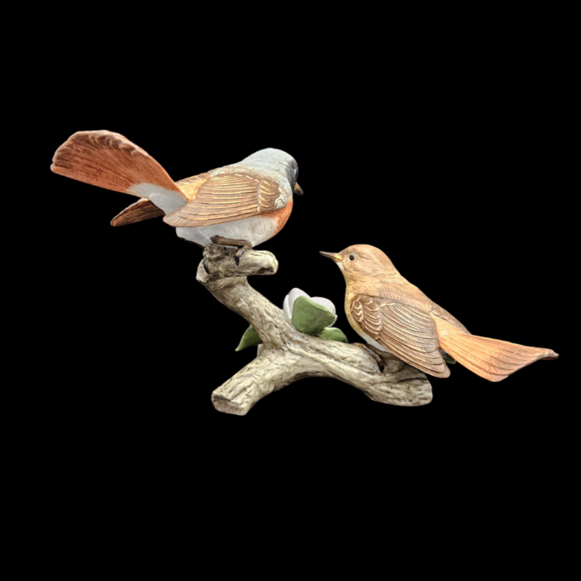 Goebel: Gartenrotschwanz Vogel des Jahres 2011 (8841736126788)